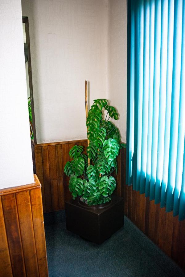 Hotel Guadalajara San Luis Potosí Eksteriør billede